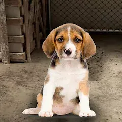 Скачать взлом My Pet Animal Shelter World  [МОД Menu] - последняя версия apk на Андроид