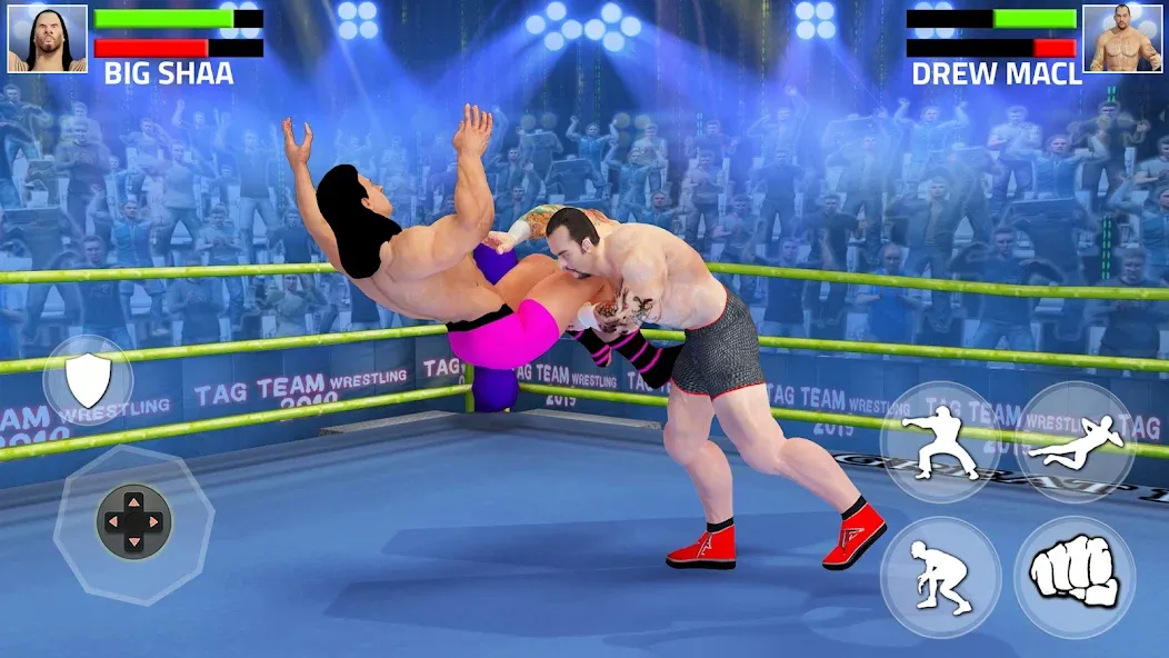 Tag Team Wrestling Game (Таг Тим Реслинг Гейм)  [МОД Бесконечные деньги] Screenshot 5